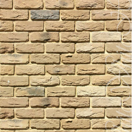 Бремен Брик 305-20