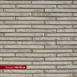 Бран Брик 699-10