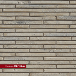 Реген Брик 694-10