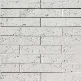 Эссен Брик F500-00