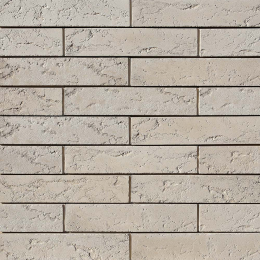 Эссен Брик F500-10